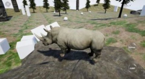 Happy Rhino Simulator